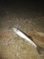 IMG_20190915_190927.jpg