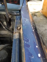 IMG_20200307_090905.jpg