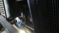 IMG_20200315_161629.jpg