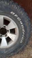 IMG_20200323_125731.jpg