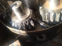IMG_20200328_163605.jpg
