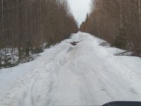 IMG_20200328_080832.jpg