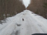 IMG_20200328_080831.jpg