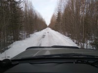IMG_20200328_080816.jpg