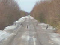 IMG_20200328_075956.jpg
