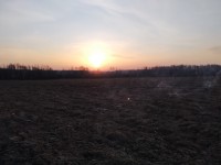 IMG_20200328_063929.jpg