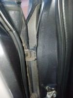 IMG_20200313_065828.jpg