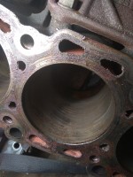 IMG_20200306_203130.jpg