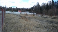 IMG_20200405_133137.jpg