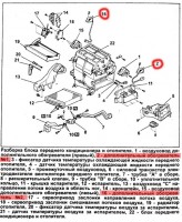 37ec6e4s-480.jpg