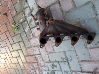20181020_150638.jpg