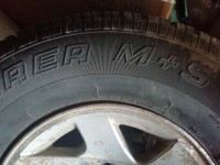 IMG_20200604_082550.jpg