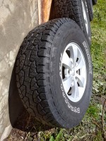 IMG_20200614_145235.jpg
