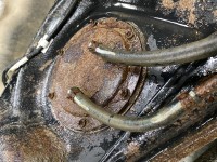 IMG_1481.JPG