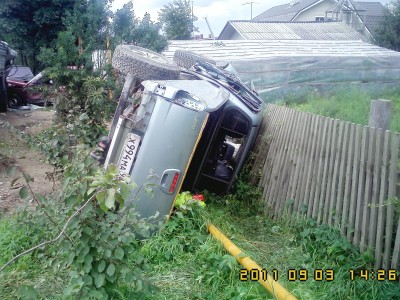 IMG0431.jpg