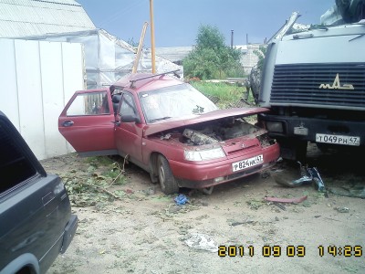 IMG0429.jpg