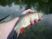 09072020398.jpg