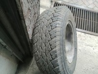 IMG_20200609_152559.jpg