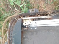 IMG_20200712_203931.jpg