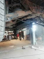 IMG_20200716_170408.jpg