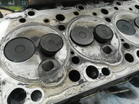 IMG_20200721_130337.jpg