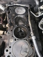 IMG_20200721_135614.jpg