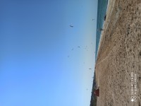 IMG_20200721_153758.jpg