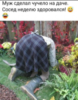 1595829071823.png