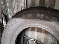 IMG_20200731_065550.jpg