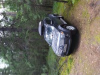 IMG_20200801_165252.jpg