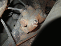 IMG_0462.gif