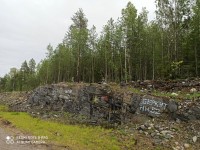 IMG_20200810_175213.jpg