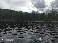 IMG_20200805_144725.jpg