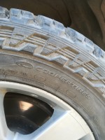 IMG_20200603_183526.jpg