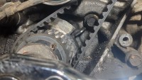 IMG_20200819_011704.jpg