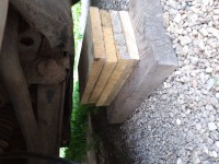 IMG_20200821_130358.jpg