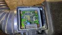IMG_20200820_180222.jpg