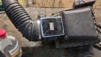 IMG_20200820_183135.jpg