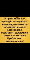 IMG-20200823-WA0005.jpg