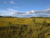 IMG_20200817_183959_1.jpg