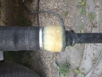 IMG_20200830_175906.jpg