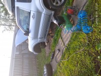 IMG_20200831_074141.jpg