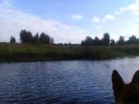 20200802_180939.jpg