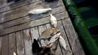IMG_20200704_180515.jpg