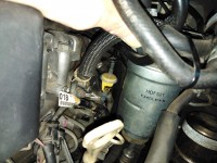 IMG_20191006_173726.jpg