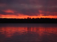 03_09_20  (5).jpg