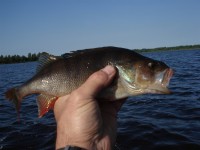 03_09_20  (9).jpg