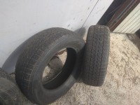 IMG_20200723_130409.jpg