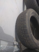 IMG_20200723_130403.jpg