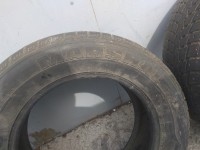 IMG_20200723_130414.jpg
